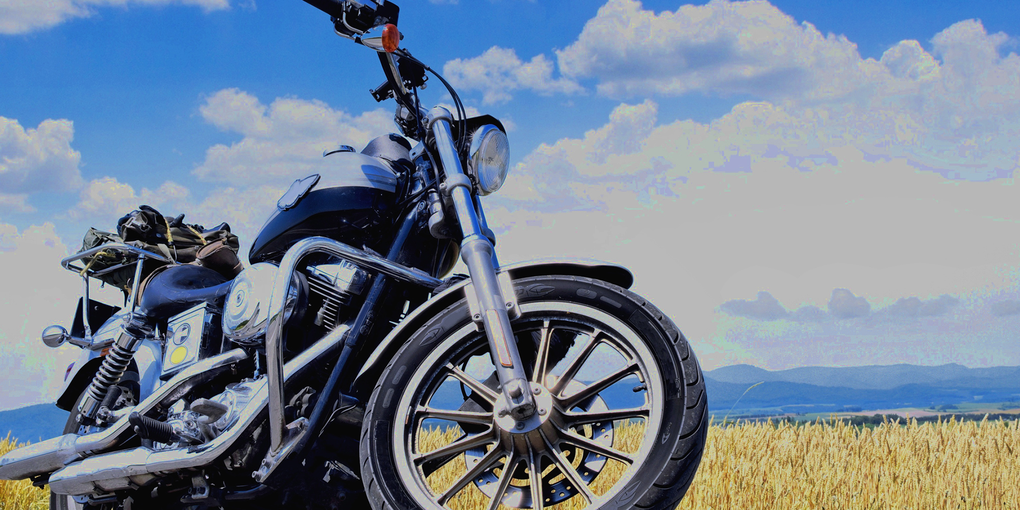 ウイングフルカワ